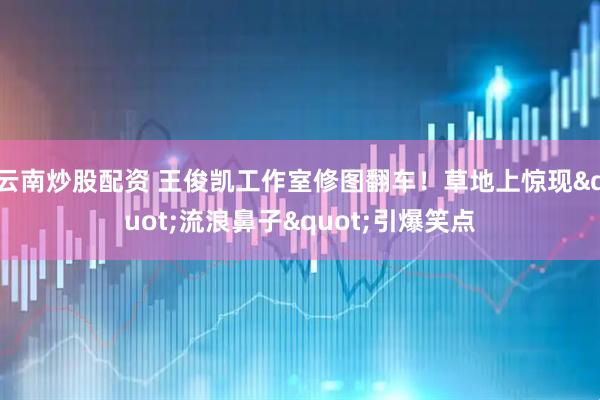 云南炒股配资 王俊凯工作室修图翻车！草地上惊现"流浪鼻子"引爆笑点