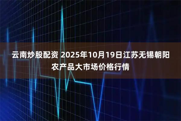 云南炒股配资 2025年10月19日江苏无锡朝阳农产品大市场价格行情