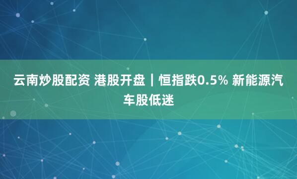 云南炒股配资 港股开盘｜恒指跌0.5% 新能源汽车股低迷
