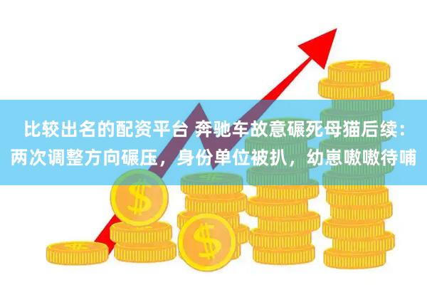 比较出名的配资平台 奔驰车故意碾死母猫后续：两次调整方向碾压，身份单位被扒，幼崽嗷嗷待哺